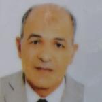 Hamdi Mohamed Ibrahim