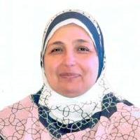 سهام عوض الشربينى