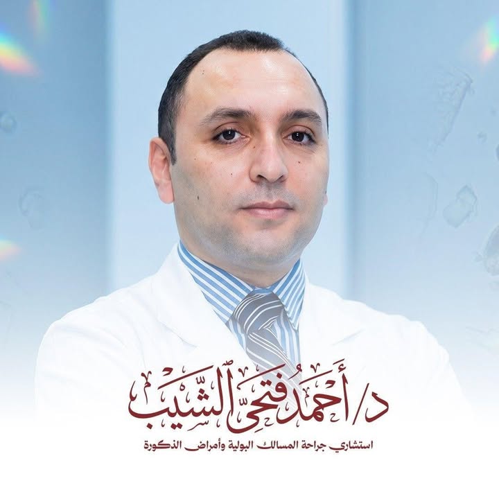 احمد فتحى الشيب