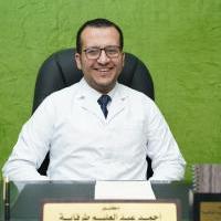 Ahmed Abdelalym Trfayh