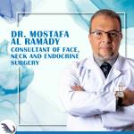 Mostafa ElRamady