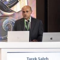Tarek Saleh