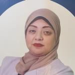 Safy Mohamed Ibrahim