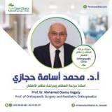 Mohammed Ossama Hegazy