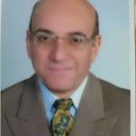 على عبد العزيز محمود