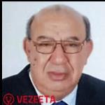 طارق لطفى على