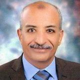 مجدى عبد الهادى