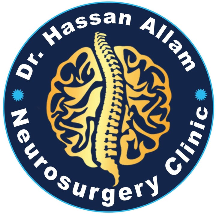 Hassan Alam