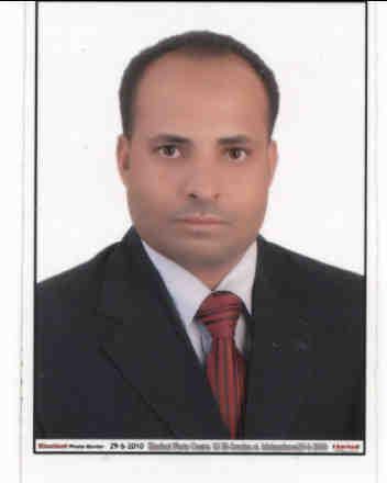 محمود ربيع العمشاوى