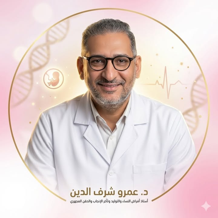عمرو على شرف الدين