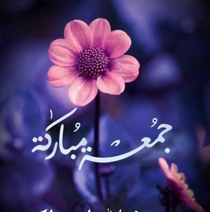 محمود إبراهيم
