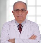 Emile Adly Shenouda
