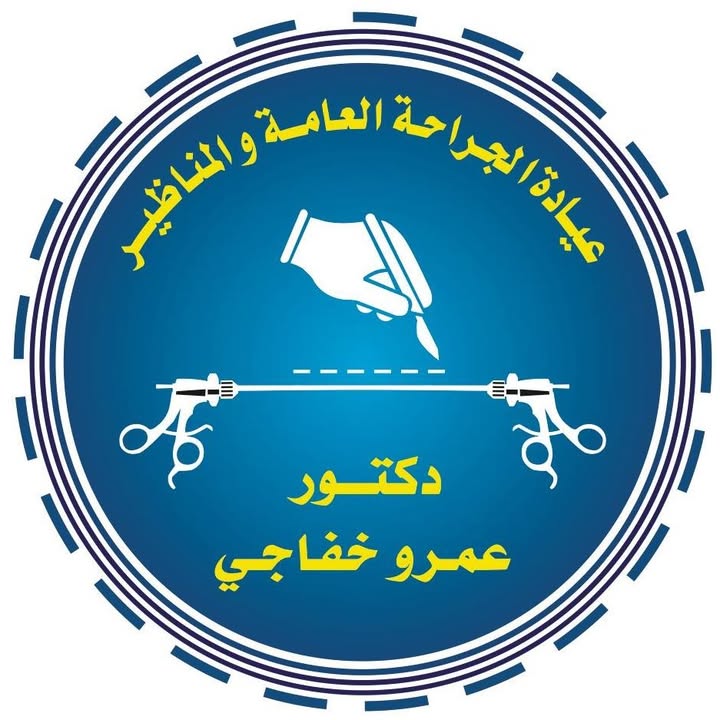 عمرو خفاجي