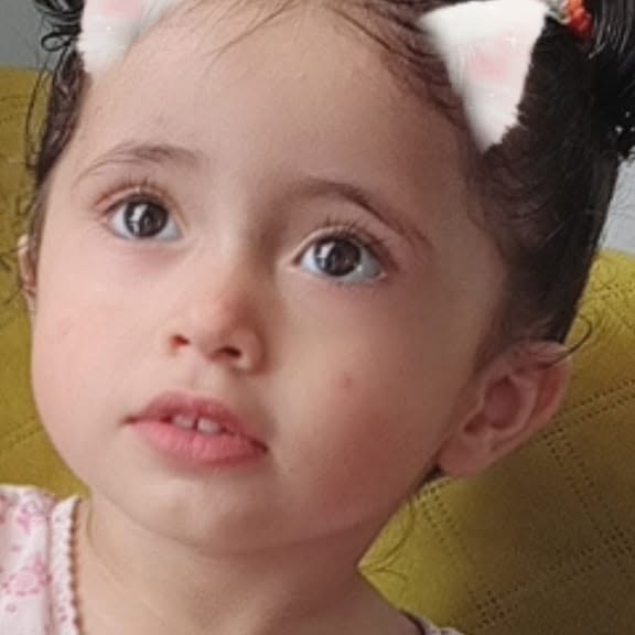 سليمان البياضى