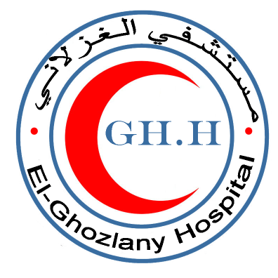 محمد الغزلانى