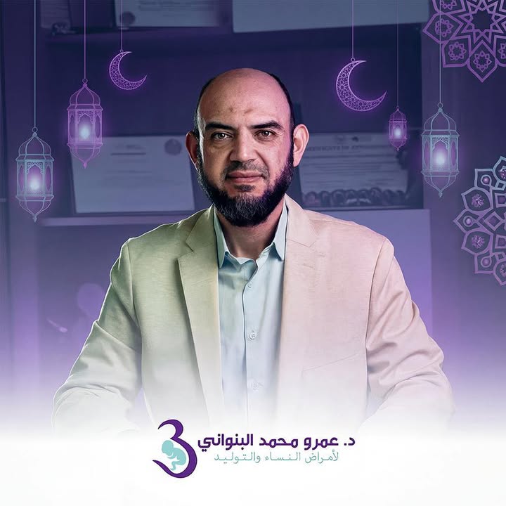 Amr Mohamed El-Bnwany
