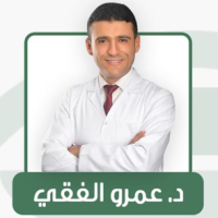 عمرو الفقي