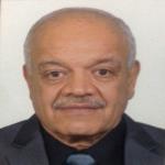 Reda Shafeek