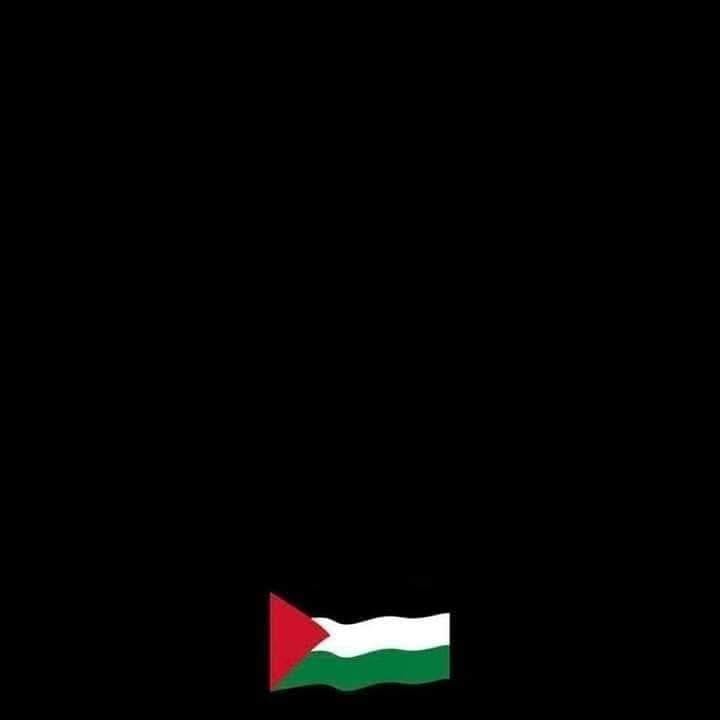 Ahmed Abdelgawad