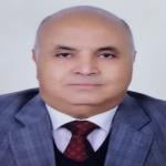 Hesham Rafeaa